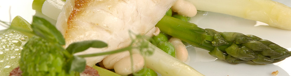 Header-Image-1