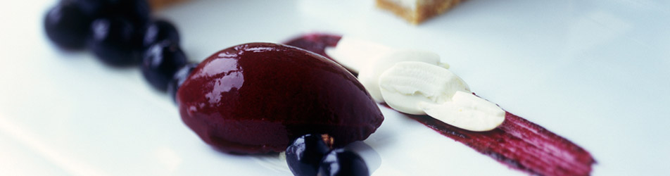 Header-Image-10