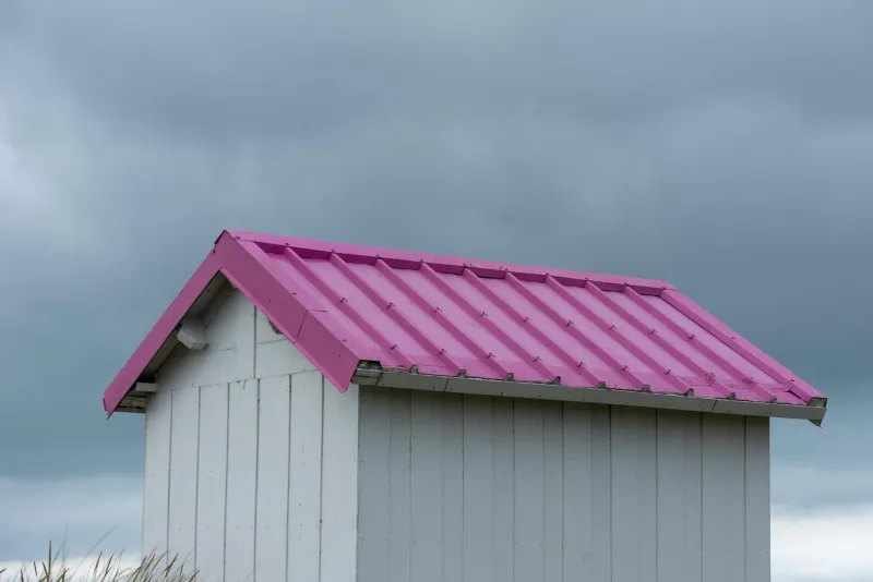 The Weather Watchers: Devon's DIY Scientists Are Quietly Rewriting the Climate Playbook