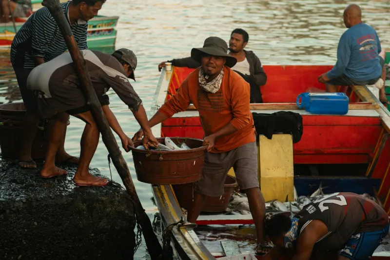 Guardians of the Quay: The Unsung Heroes Managing Devon's Historic Harbours